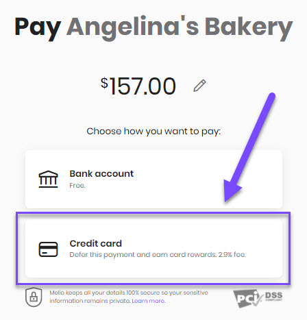 select_credit_card_as_payment_method.jpg